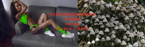 кокс Алексеевка