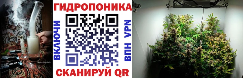 Канабис SATIVA & INDICA  что такое наркотик  Заволжск 